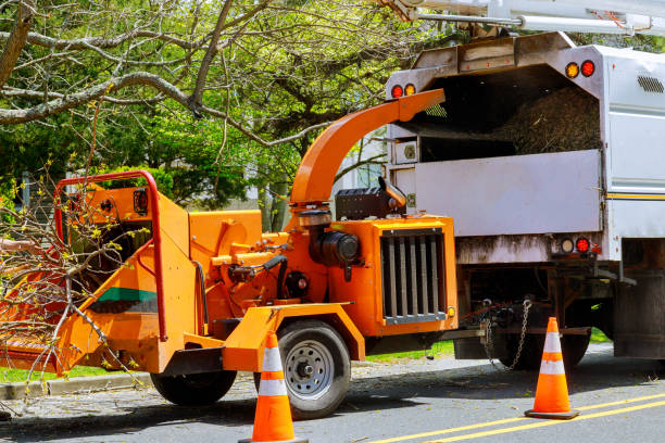 Trusted Prior Lake, MN Tree Removal and Landscaping Services Experts